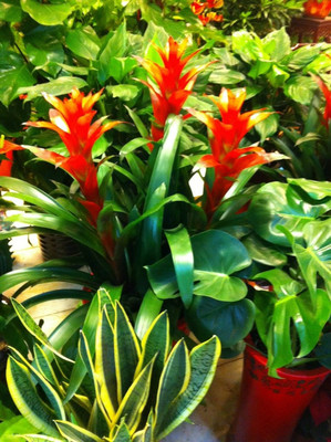 上海闵行礼品/鲜花公司与58网邻通纸制品销售分析