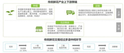 花花世界 从“礼品花”到“日常花”，看鲜花零售业的华丽转身